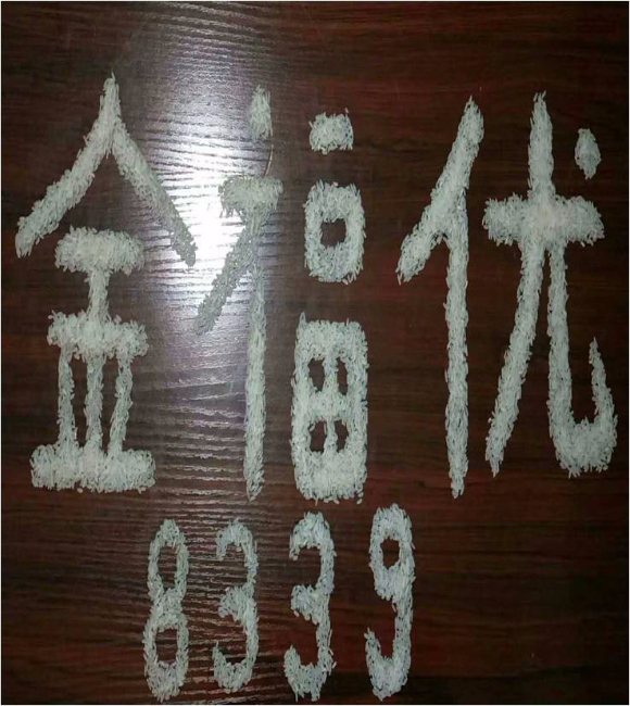 金福優(yōu)8339