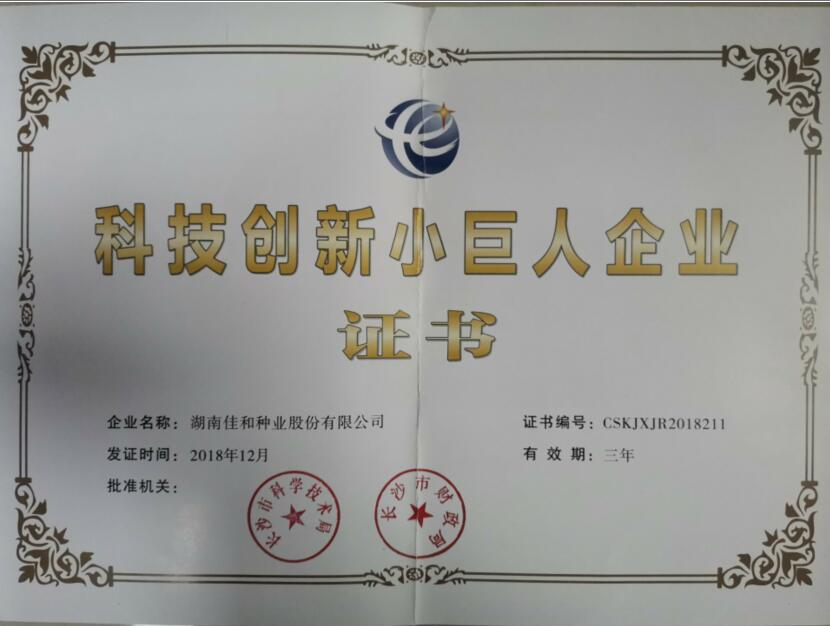 科技創(chuàng)新小巨人企業(yè)