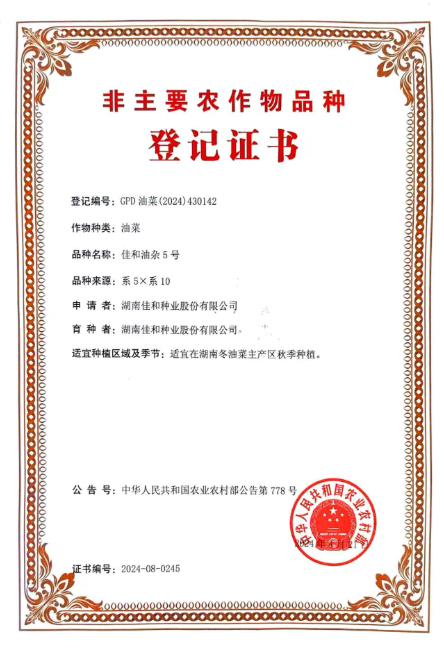 佳和油雜5號(hào)