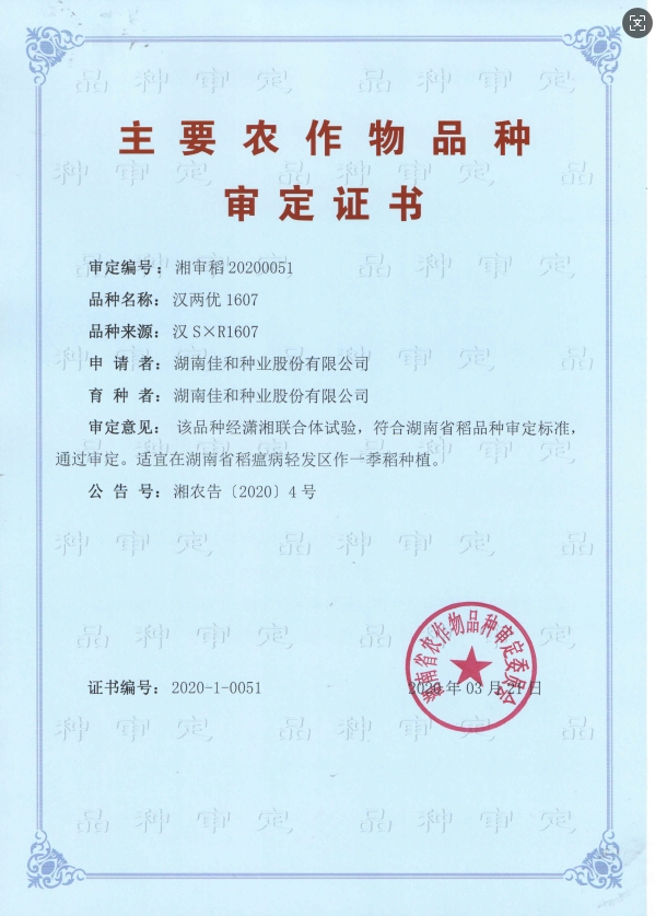 遲熟中稻——漢兩優(yōu)1607