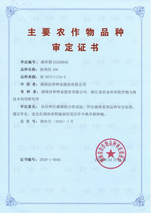 中熟早稻——浙兩優(yōu)166